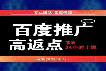 某公司网站sem托管项目纪实